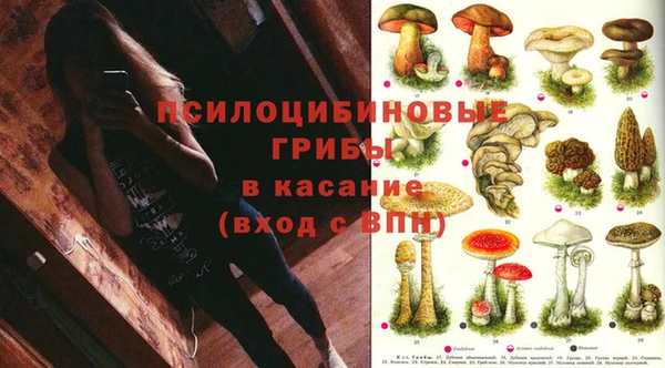 твердый Медногорск
