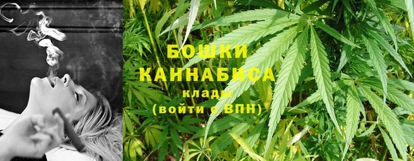 твердый Медногорск