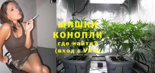 эйфоретик Майский