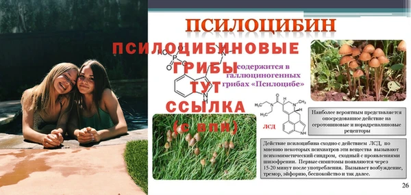 дистиллят марихуана Магас