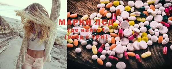 эйфоретик Майский